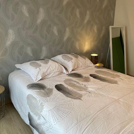 Appartement Du Grand Parc Chateauroux Bagian luar foto
