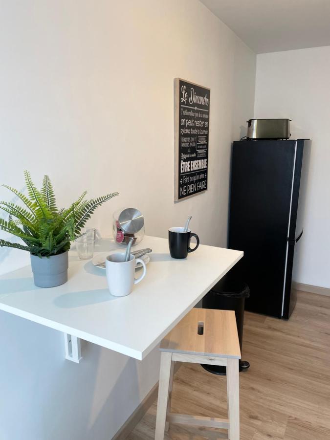 Appartement Du Grand Parc Chateauroux Bagian luar foto
